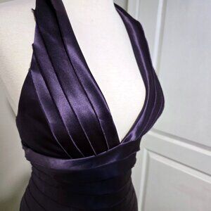 BCBG Maxazria Haute Dewberry Gown Size 4